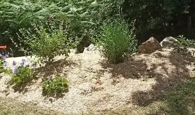 aménagement jardin Arthon-en-Retz-5