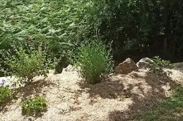 aménagement jardin Bourgneuf-en-Retz-5