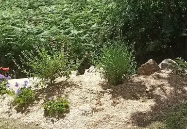 aménagement jardin à Chaumes-en-Retz - image 2