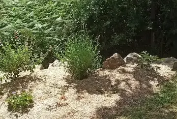 aménagement jardin à Chauvé - image 2