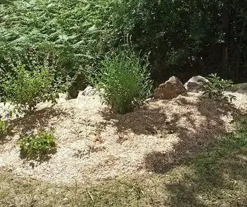 aménagement jardin à Chéméré - image 2