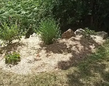 aménagement jardin à Frossay - image 4