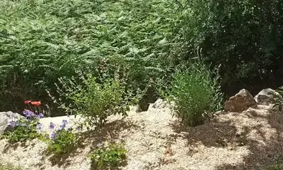 aménagement jardin à Pornic - image 3