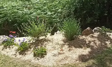 aménagement jardin à Saint-Michel-Chef-Chef - image 2