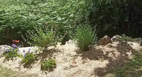 aménagement jardin à Saint-Père-en-Retz - image 2