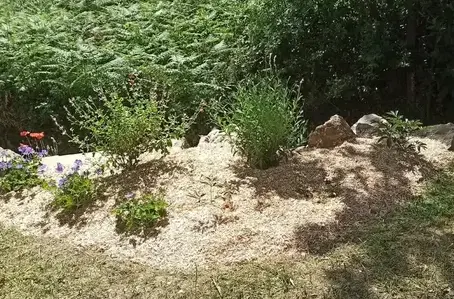 aménagement jardin à Saint-Viaud - image 2