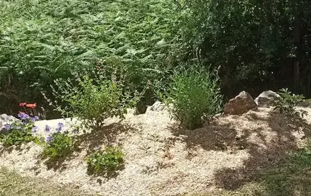 crédit d'impôt à Arthon-en-Retz - image 2