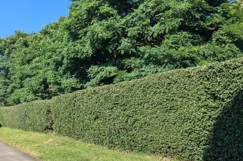 credit d impot arthon en retz