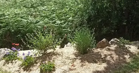 crédit d'impôt Chaumes-en-Retz-5