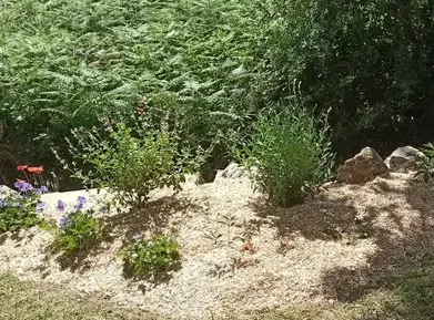 crédit d'impôt à Chauvé - image 3