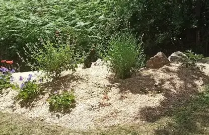 crédit d'impôt à Chéméré - image 4