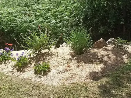 débrousaillage Arthon-en-Retz-5