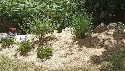 débrousaillage Bourgneuf-en-Retz-5