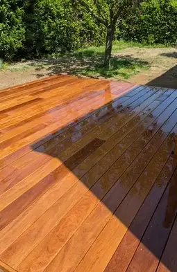 débrousaillage à Chauvé - image 4