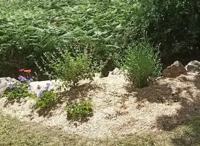 débrousaillage à Chéméré - image 3