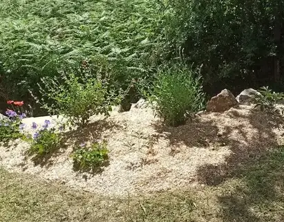 débrousaillage Frossay-5