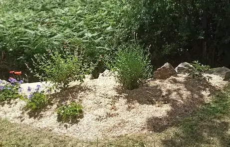 débrousaillage Pornic-1