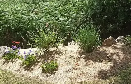 débrousaillage à Saint-Michel-Chef-Chef - image 4