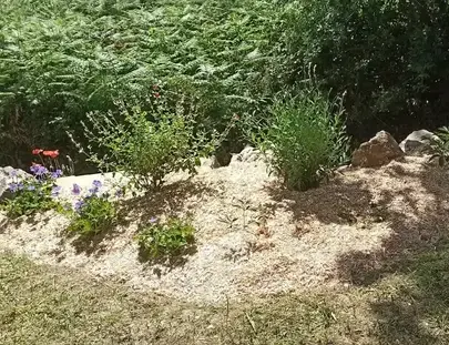 débrousaillage Saint-Père-en-Retz-1