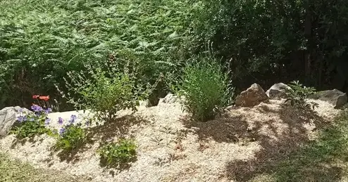 débrousaillage Saint-Viaud-1