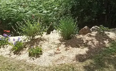 engazonnement à Arthon-en-Retz - image 4