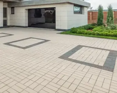 engazonnement à Bourgneuf-en-Retz - image 2