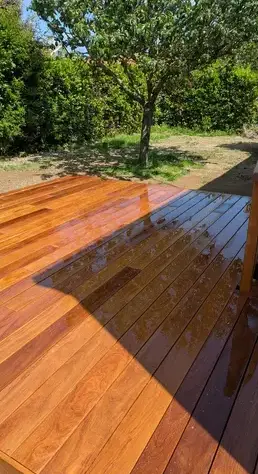 engazonnement à Bourgneuf-en-Retz - image 4