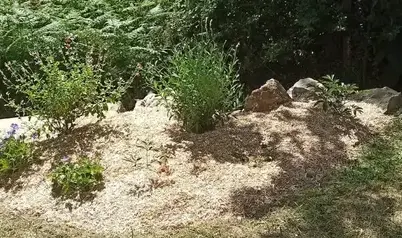 engazonnement Bourgneuf-en-Retz-5