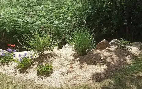 engazonnement à Chaumes-en-Retz - image 3