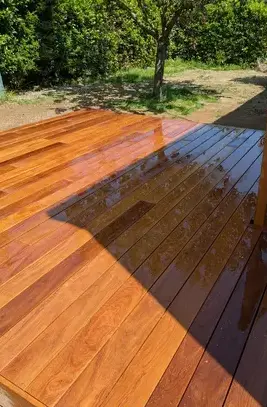 engazonnement à Chaumes-en-Retz - image 4