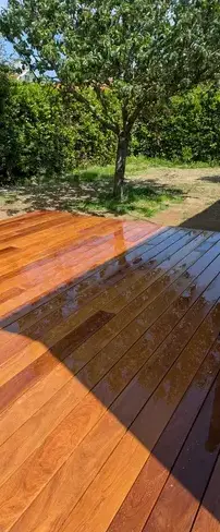 engazonnement Chauvé-1