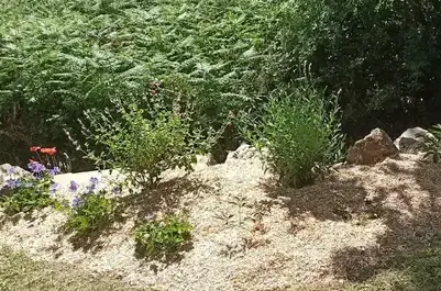 engazonnement à Chauvé - image 4