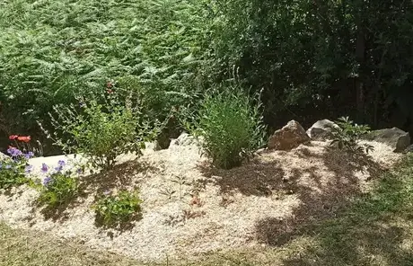 engazonnement à Chéméré - image 2