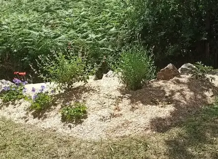 engazonnement à Frossay - image 4