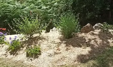 engazonnement à Pornic - image 3