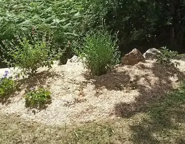 engazonnement à Saint-Père-en-Retz - image 2