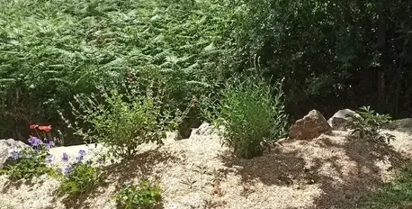 engazonnement Saint-Viaud-5