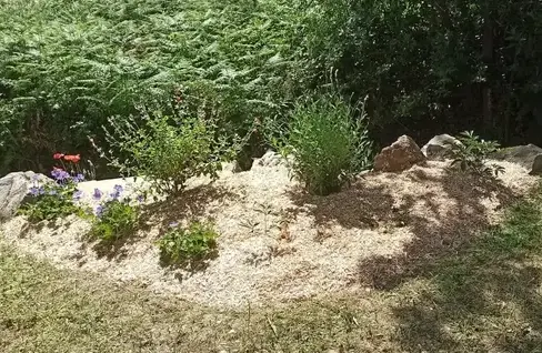 entretien espace vert à Bourgneuf-en-Retz - image 3