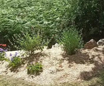 entretien espace vert à Chaumes-en-Retz - image 4