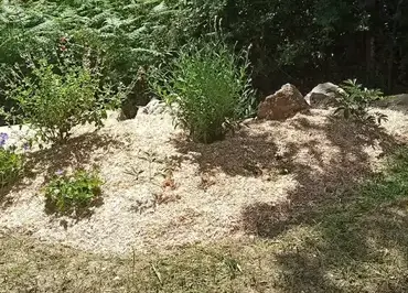 entretien espace vert Chéméré-5