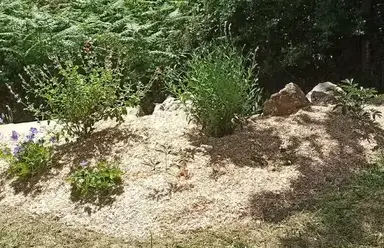 entretien espace vert à Frossay - image 4