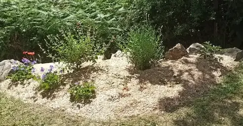 entretien espace vert à Saint-Michel-Chef-Chef - image 4