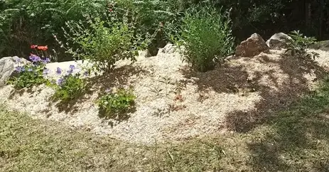 entretien espace vert Saint-Père-en-Retz-1