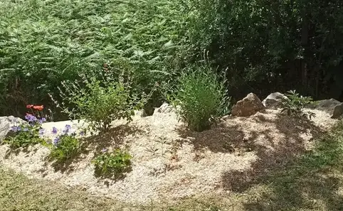 jardinier à Bourgneuf-en-Retz - image 4