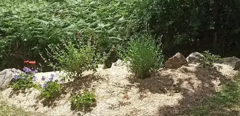 jardinier à Chaumes-en-Retz - image 3