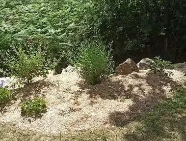 jardinier Chéméré-5