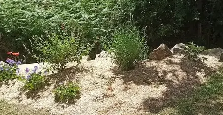 jardinier à Saint-Viaud - image 3