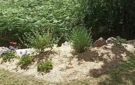 maçonnerie à Chaumes-en-Retz - image 3