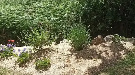 maçonnerie Chauvé-5