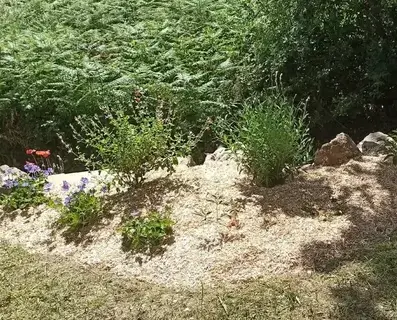 maçonnerie Pornic-1